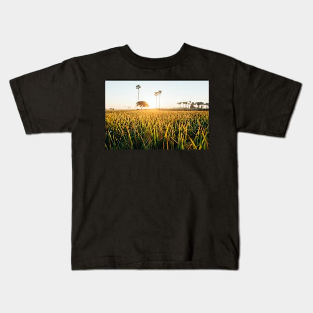 Sunrise Over Grass Field in Burmese Countryside Kids T-Shirt by visualspectrum